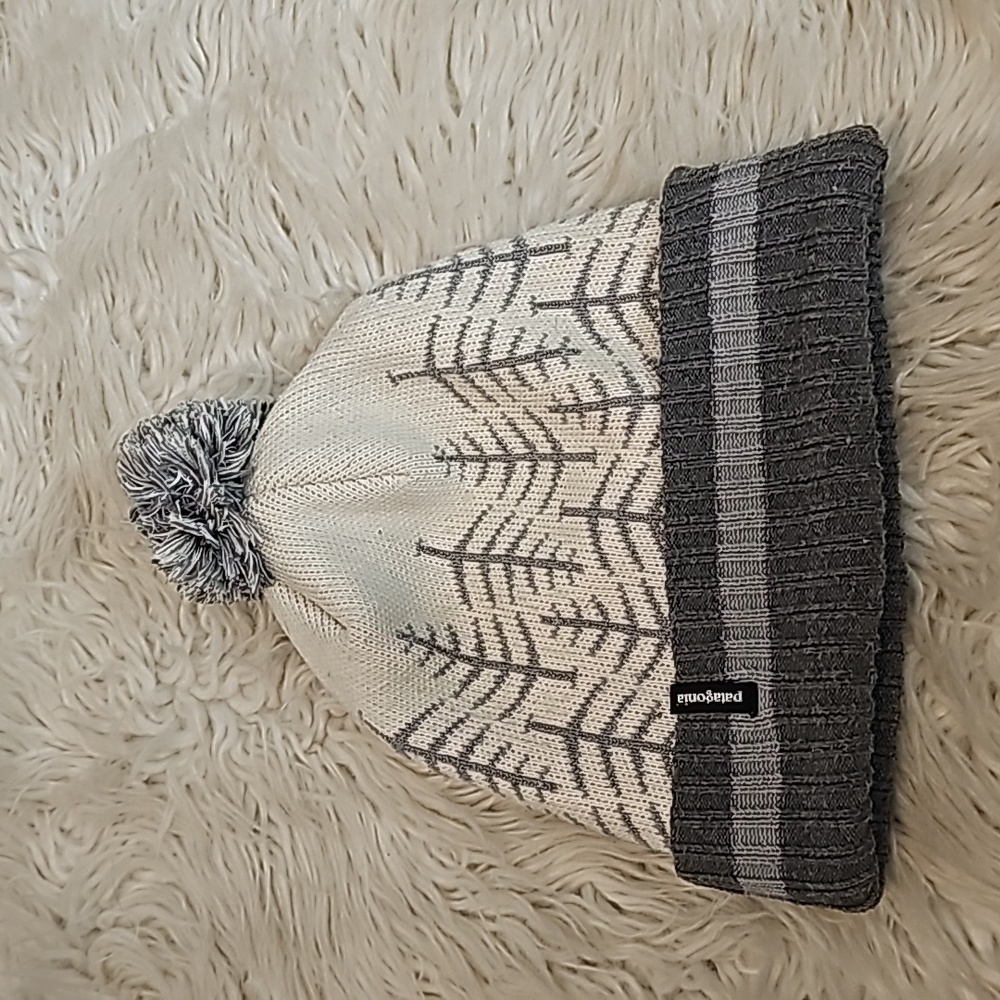 Patagonia beanie